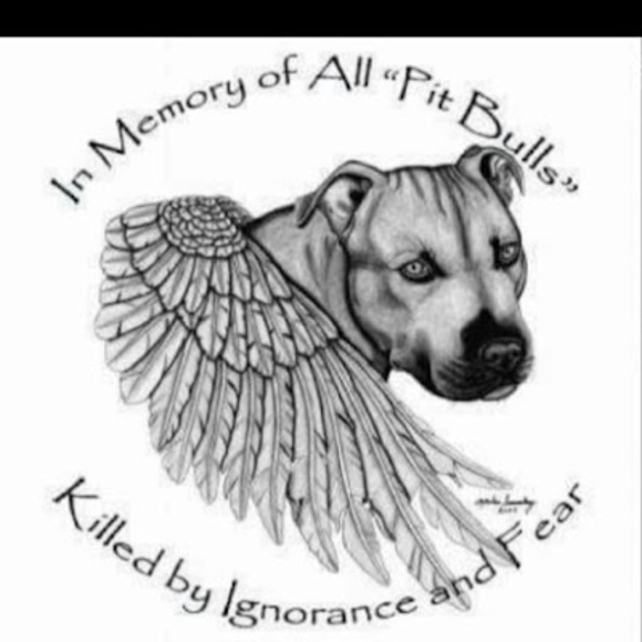 Meet your Posher, Carrie - Picture 1 of 1